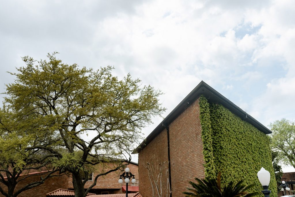 external Photo of The Gallery Houston featuring its ivy wall